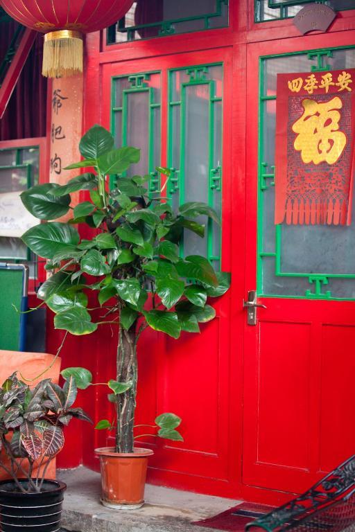 Hostel Sitting On The City Walls Courtyard House Peking Exteriér fotografie