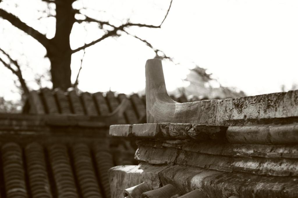 Hostel Sitting On The City Walls Courtyard House Peking Exteriér fotografie